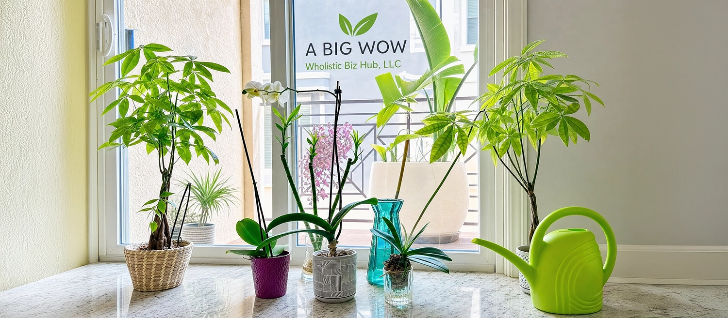 A BIG WOW Wholistic Biz Hub, LLC